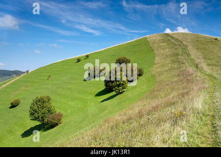 Bad Berg in den kaiserlichen Stuhl, Baden-Wurttemberg, Badberg bin Kaiserstuhl, Baden-Württemberg Stockfoto