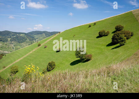 Bad Berg in den kaiserlichen Stuhl, Baden-Wurttemberg, Badberg bin Kaiserstuhl, Baden-Württemberg Stockfoto