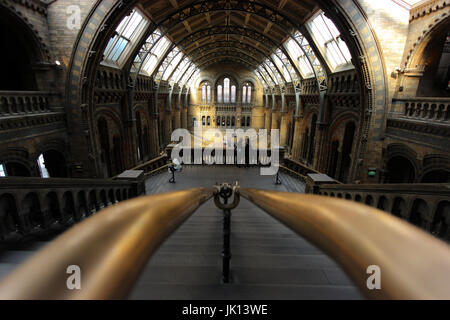 Die Haupthalle des Natural History Museum in South Kensington, London Stockfoto