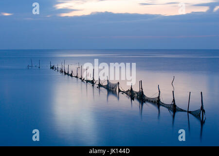 Set-Netze in das Wattenmeer auf der Insel Texel, Niederlande, Stellnetze Im Wattenmeer Auf der Insel Texel, Niederlande Stockfoto