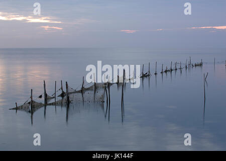 Set-Netze in das Wattenmeer auf der Insel Texel, Niederlande, Stellnetze Im Wattenmeer Auf der Insel Texel, Niederlande Stockfoto