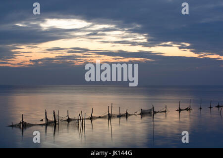 Set-Netze in das Wattenmeer auf der Insel Texel, Niederlande, Stellnetze Im Wattenmeer Auf der Insel Texel, Niederlande Stockfoto