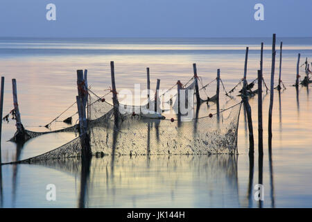 Set-Netze in das Wattenmeer auf der Insel Texel, Niederlande, Stellnetze Im Wattenmeer Auf der Insel Texel, Niederlande Stockfoto