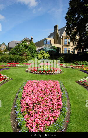 Viktorianische Werk Betten mit Ringelblumen und Begonien im viktorianischen Garten in Sheffield Botanical Gardens, Sheffield, South Yorkshire im Juli Stockfoto