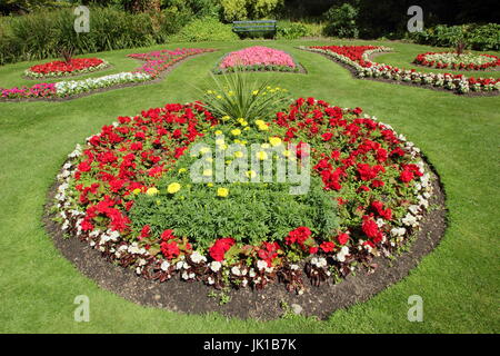 Viktorianische Werk Betten mit Ringelblumen und Begonien im viktorianischen Garten in Sheffield Botanical Gardens, Sheffield, South Yorkshire im Juli Stockfoto