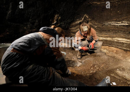 Russische Archäologen graben im Inneren Denisova Höhle in einer Region gleichzeitig gedacht worden, die in der Vergangenheit von Neandertalern und modernen Menschen in der Bashelaksky Reichweite des Altai Gebirge in der Altairegion eine Region in Westsibirien, Russland bewohnt haben. Die Denisova Höhle ist von großer paleoarchaeological und paläontologischen Interesse. Knochenfragmenten der Denisova Homininen, manchmal auch als die 'X Frau' aus der Höhle stammen, einschließlich Artefakte datiert auf rund 40.000 BP. Stockfoto