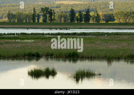 Restaurierte Feuchtgebiet Teich, Ball Creek Ranch zu bewahren, Idaho Stockfoto