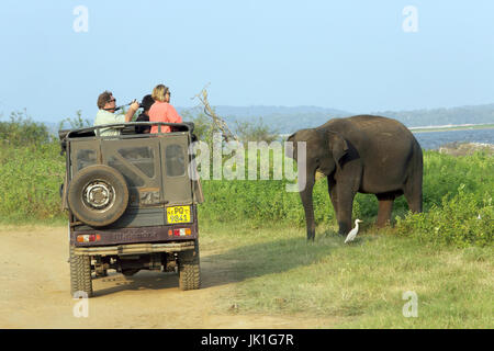 Minneriya National Park Nord-Zentralprovinz Sri Lanka Touristen in Safari Jeep gerade asiatische Elefant Stockfoto
