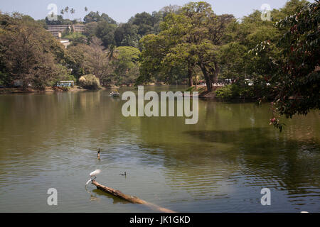 Kandy See Kandy Zentralprovinz SriLanka Stockfoto