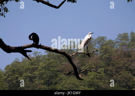 Kandy See Kandy Zentralprovinz SriLanka Stockfoto