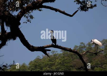 Kandy See Kandy Zentralprovinz SriLanka Stockfoto