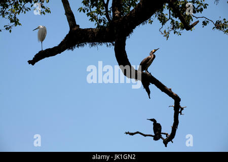 Kandy See Kandy Zentralprovinz SriLanka Stockfoto