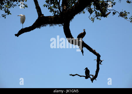 Kandy See Kandy Zentralprovinz SriLanka Stockfoto