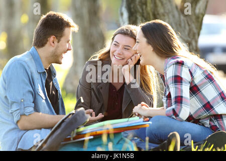 Drei glückliche Schüler sprechen nach dem Unterricht sitzen auf dem Rasen außerhalb in einem park Stockfoto