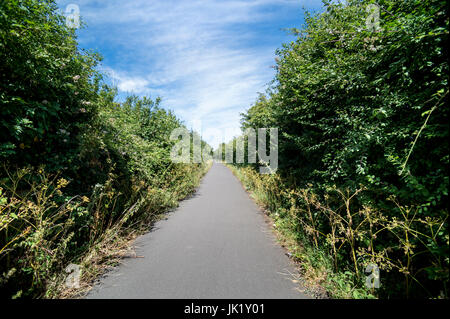 schmale asphaltierte Bahn mit Hecken beiderseits. Fußweg, Radweg, Stockfoto