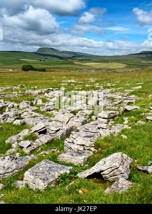 Blick auf Pen-Y-Gent-Hügel aus Winskill Steinen in der Nähe von Stainforth Ribblesdale Yorkshire Dales England Stockfoto