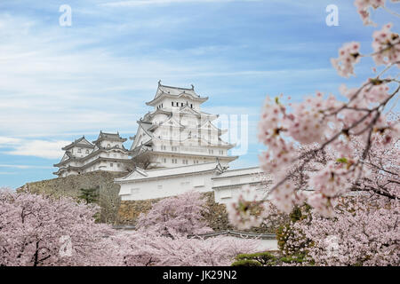 Kirschblüte Blumen und Burg Himeji in Himeji, Hyogo, Japan Stockfoto