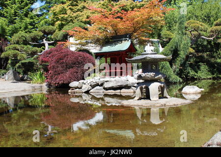 Japanische Pagode in Point Defiance Park in Tacoma Stockfoto