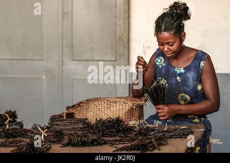 Sambava, Madagaskar, Jan 12: Madagassischen Arbeitskraft Herstellung von Vanille in einer nicht identifizierten Handwerksbetrieb in der Nähe von Sambava, Madagaskar am 12. Januar 2017 Stockfoto