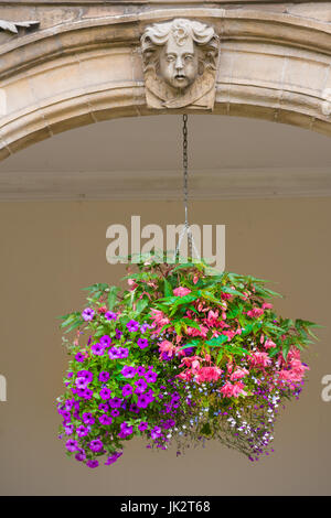 Blumenampel außerhalb der Pepys Library am St. Mary Magdalene College der Universität Cambridge, England, Großbritannien. Stockfoto