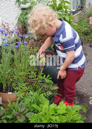 Eine 2-jährige Bewässerung Pflanzen von der Seite des Hauses; Zeigen Verantwortung und Fürsorge, mit einer Gießkanne um seine Pflanzen kümmern. Teil einer Reihe. Stockfoto