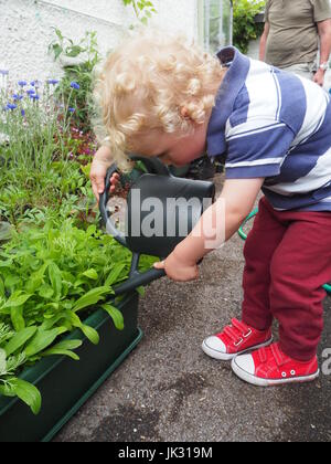 Eine 2-jährige Bewässerung Pflanzen von der Seite des Hauses; Zeigen Verantwortung und Fürsorge, mit einer Gießkanne um seine Pflanzen kümmern. Teil einer Reihe. Stockfoto