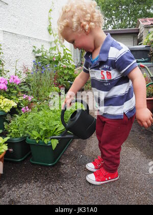 Eine 2-jährige Bewässerung Pflanzen von der Seite des Hauses; Zeigen Verantwortung und Fürsorge, mit einer Gießkanne um seine Pflanzen kümmern. Teil einer Reihe. Stockfoto