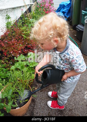 Eine 2-jährige Bewässerung Pflanzen von der Seite des Hauses; Zeigen Verantwortung und Fürsorge, mit einer Gießkanne um seine Pflanzen kümmern. Teil einer Reihe. Stockfoto