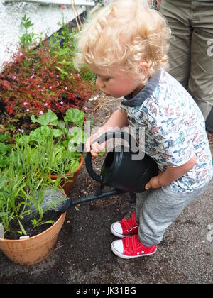 Eine 2-jährige Bewässerung Pflanzen von der Seite des Hauses; Zeigen Verantwortung und Fürsorge, mit einer Gießkanne um seine Pflanzen kümmern. Teil einer Reihe. Stockfoto