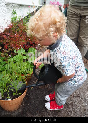 Eine 2-jährige Bewässerung Pflanzen von der Seite des Hauses; Zeigen Verantwortung und Fürsorge, mit einer Gießkanne um seine Pflanzen kümmern. Teil einer Reihe. Stockfoto