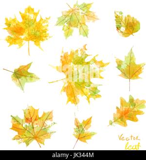 Satz von Silhouetten der Ahornblätter in Aquarell, Vektor Stock Vektor