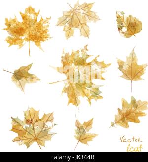 Satz von Silhouetten der Ahornblätter in Aquarell, Vektor Stock Vektor