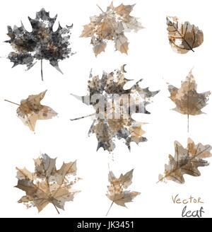 Satz von Silhouetten der Ahornblätter in Aquarell, Vektor Stock Vektor