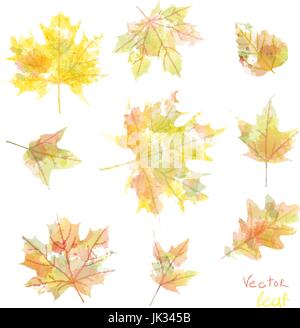 Satz von Silhouetten der Ahornblätter in Aquarell, Vektor Stock Vektor