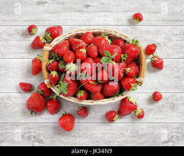 Frische Erdbeeren im Korb auf weißem Hintergrund aus Holz. Ansicht von oben. Hohe Auflösung. Ernte-Konzept Stockfoto