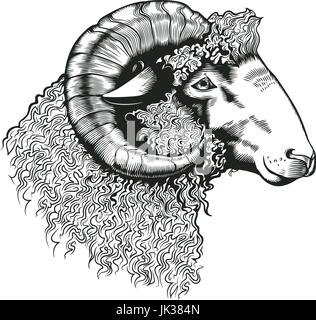 Leiter der Ram handgezeichnete in antiken Stil zu ätzen. Tiere Tier isoliert auf weißem Hintergrund. Vektor-Illustration in monochromen Farben für Metzgerei Schriftzug, Bauernhof Produkte Werbung, Banner. Stock Vektor