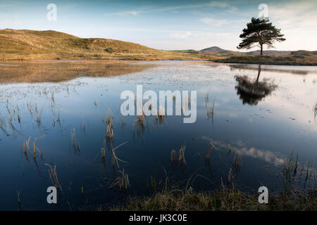 Kelly Hall Tarn Stockfoto