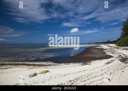 Seychellen, Insel Praslin, Grande Anse, Grand Anse Strand Stockfoto