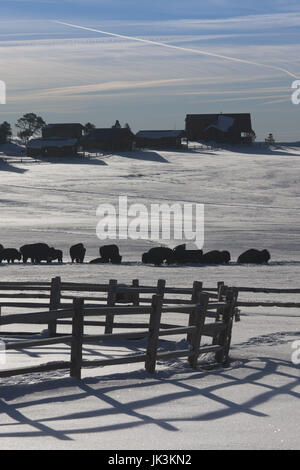 USA, Utah, Mt. Carmel Junction, Buffalo Ranch, winter Stockfoto