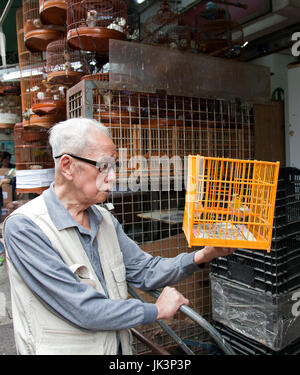 Chinesischer Mann checkt ein Kanarienvogel vor dem Kauf. Vogelmarkt, Hong Kong, China. Stockfoto