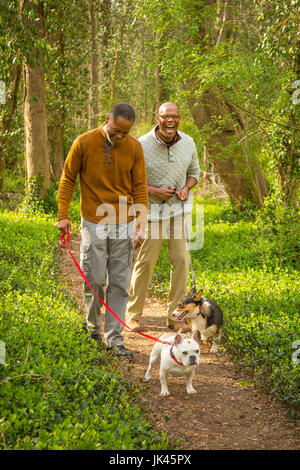 Afroamerikanischen Männern Hunde Weg im Wald zu gehen Stockfoto