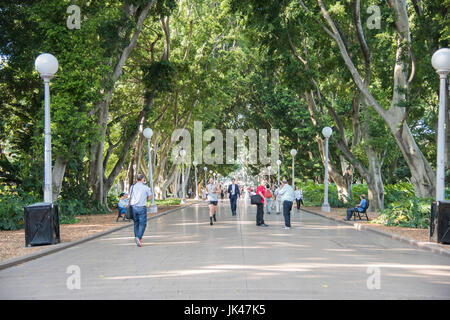 SYDNEY, New South Wales, Australien-NOVEMBER 18,2016: Menschen gehen, einen laufen und andere ruht auf üppige Bürgersteig Hyde Park in der Innenstadt von Sydney, Australien. Stockfoto