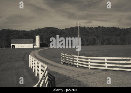 USA, West Virginia, Arbovale, Monongahela National Forest, alte Scheune, Herbst Stockfoto