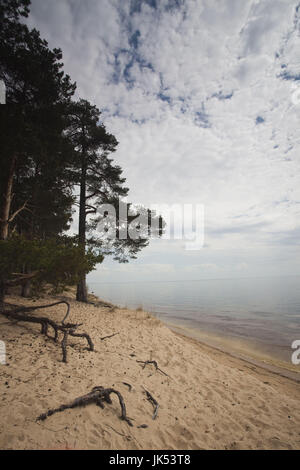 Estland, nordöstlichen Estland Kauksi, Ansicht des Peipussee an Grenze zu Russland Stockfoto