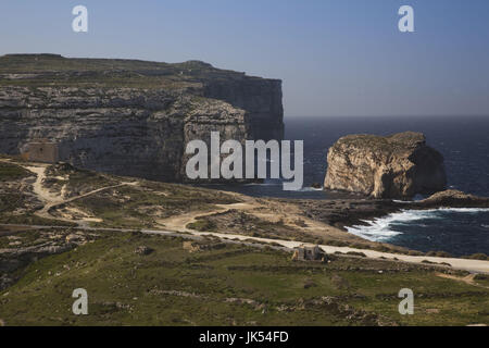 Malta, Insel Gozo, Dwejra, Steilküsten und Fungus Rock, stellen nur in Europa, wo General es Root-Cynomorium Coccineus gefunden wird. Dieser Pilz wurde für seine pharmazeutischen Eigenschaften im Mittelalter sehr begehrt. Stockfoto