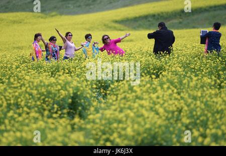 Zhangye, Chinas Provinz Gansu. 22. Juli 2017. Menschen posieren für Fotos in den Bereichen Cole Blumen in Minle County von Zhangye Stadt, Nordwesten Chinas Provinz Gansu, 22. Juli 2017. Cole Blumen in der Grafschaft hat viele Touristen angezogen. Bildnachweis: Chen Yehua/Xinhua/Alamy Live-Nachrichten Stockfoto