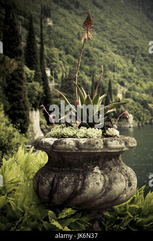 Italien, Lombardei, Seen, Comer See, Varenna, Villa Monastero, Gärten und am Seeufer Stockfoto