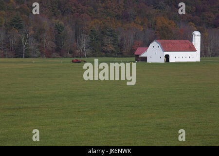 USA, West Virginia, Arbovale, Monongahela National Forest, alte Scheune, Herbst Stockfoto