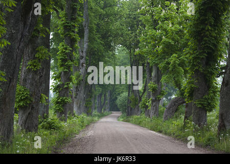 Lettland, Western Region Kurzeme, Sabile, Landstraße Stockfoto