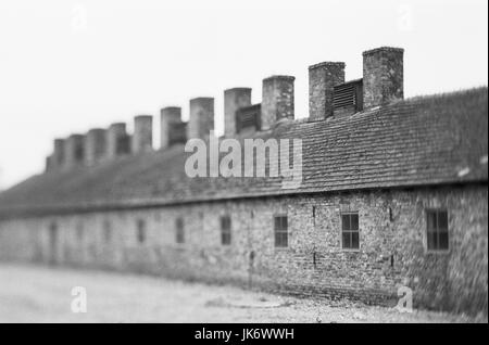 Polen, Kleinpolen, Auschwitz, Birkenau, Konzentrationslager, Museum, Baracken, s/w-Europa, Rzeczpospolita Polska, Województwo Malopolskie, Oswiecim, nichts Weltkrieg, Kriegsgeschichte, Vernichtungslager, SS-Vernichtungslager, Kriegsgefangenenlager, Massenvernichtung, Antisemitismus, Gedenkstätte, Erinnerung, UNESCO-Weltkulturerbe, Unterkunft, Gefangenenlager, Fachzeitung, Unschärfe Stockfoto